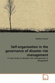 Self-organisation in the governance of disaster risk management