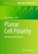 Planar Cell Polarity - Bild 1