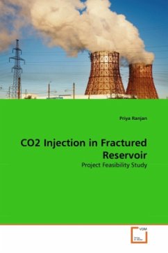 CO2 Injection in Fractured Reservoir - Ranjan, Priya