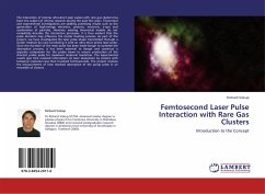 Femtosecond Laser Pulse Interaction with Rare Gas Clusters