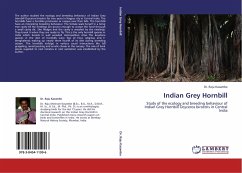 Indian Grey Hornbill - Kasambe, Raju