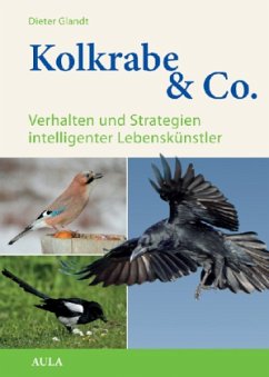 Kolkrabe & Co. - Glandt, Dieter