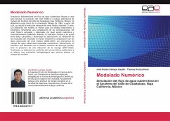 Modelado Numérico - Campos Gaytán, José Rubén;Kretzschmar, Thomas