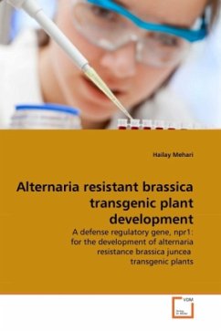 Alternaria resistant brassica transgenic plant development - Mehari, Hailay