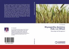 Rhyzopertha dominica (Fab.) on Wheat