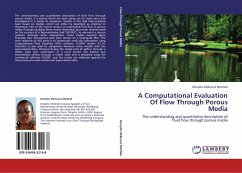 A Computational Evaluation Of Flow Through Porous Media - Mothibi, Dimpho Millicent