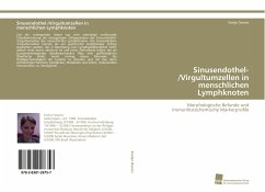 Sinusendothel-/Virgultumzellen in menschlichen Lymphknoten - Sievers, Evelyn