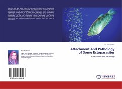 Attachment And Pathology of Some Ectoparasites