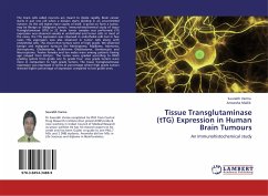 Tissue Transglutaminase (tTG) Expression in Human Brain Tumours