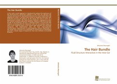 The Hair Bundle - Baumgart, Johannes