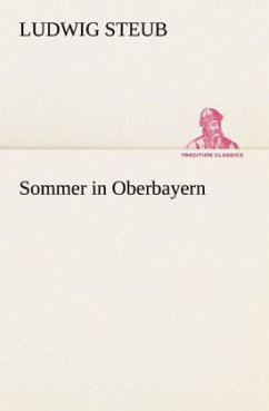 Sommer in Oberbayern - Steub, Ludwig