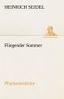 Fliegender Sommer - Bild 1