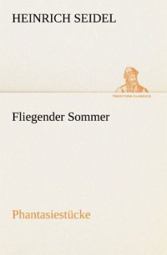 Fliegender Sommer - Seidel, Heinrich