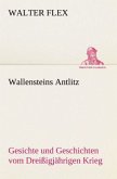 Wallensteins Antlitz