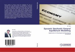 Dynamic Stochastic General Equilibrium Modelling - Yang, Bo