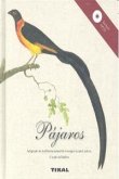 Pájaros