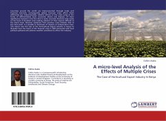 A micro-level Analysis of the Effects of Multiple Crises