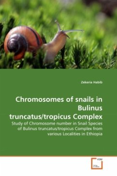 Chromosomes of snails in Bulinus truncatus/tropicus Complex - Habib, Zekeria