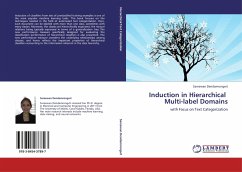 Induction in Hierarchical Multi-label Domains