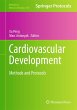 Cardiovascular Development - Bild 1
