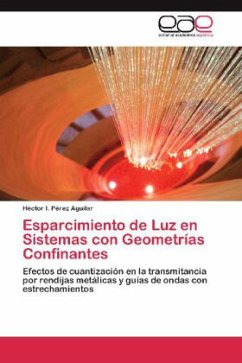 Esparcimiento de Luz en Sistemas con Geometrías Confinantes
