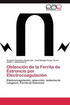 Obtención de la Ferrita de Estroncio por Electrocoagulación - González Zamarripa, Gregorio;Parga Torres, José Refugio;Valenzuela G., Jesús L.