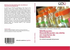 Nitrificación-Desnitrificación vía nitrito en reactores de biopelícula - Ciudad, Gustavo;Azocar, Laura;Antileo, Christian