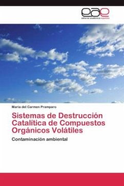 Sistemas de Destrucción Catalítica de Compuestos Orgánicos Volátiles - Pramparo, Maria del Carmen