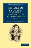 History of England from the Fall of Wolsey to the Death of Elizabeth - Volume 5