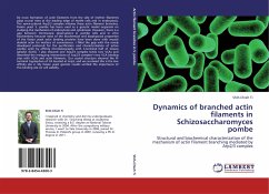 Dynamics of branched actin filaments in Schizosaccharomyces pombe - Ti, Shih-Chieh