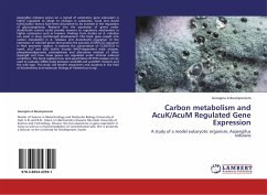 Carbon metabolism and AcuK/AcuM Regulated Gene Expression