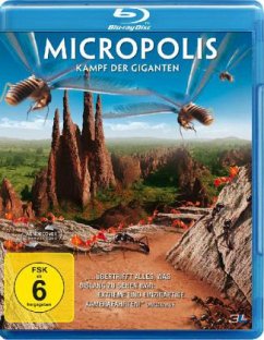 Micropolis