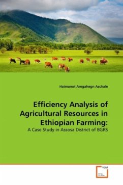 Efficiency Analysis of Agricultural Resources in Ethiopian Farming: - Aschale, Haimanot Aregahegn