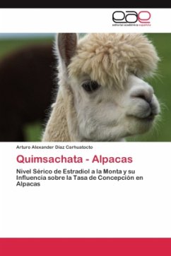 Quimsachata - Alpacas