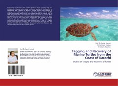 Tagging and Recovery of Marine Turtles from the Coast of Karachi - Barkati, Sohail;Firdous, Dr. Fehmida;Rahman, Dr Solaha