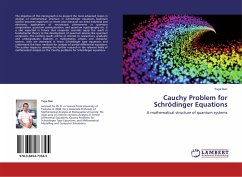 Cauchy Problem for Schrödinger Equations - Dan, Yuya