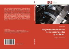 Magnétoélectricité dans les nanocomposites granulaires: - Castel, Vincent