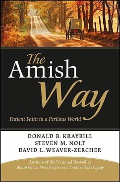 The Amish Way - Kraybill, Donald B; Nolt, Steven M; Weaver-Zercher, David L