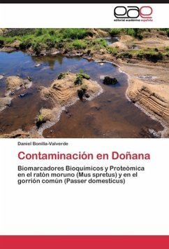 Contaminación en Doñana