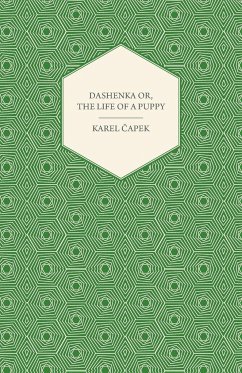 Dashenka - Or, The Life of a Puppy - ¿Apek, Karel