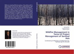 Wildfire Management in Terms of Project Management of Sentinel Asia