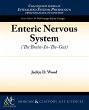 Enteric Nervous System - Bild 1