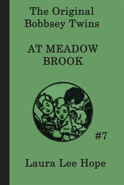The Bobbsey Twins at Meadow Brook - Hope, Laura Lee