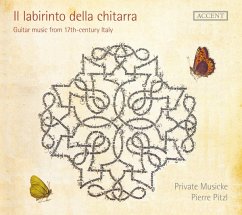 Il Labirinto Della Chitarra - Pitzl/Private Musicke