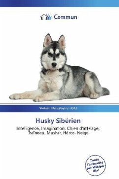 Husky Sibérien