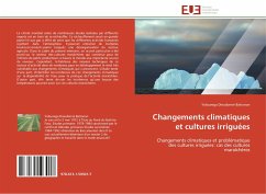 Changements climatiques et cultures irriguées - Bationon, Yidourega Dieudonné