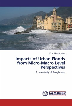 Impacts of Urban Floods from Micro-Macro Level Perspectives
