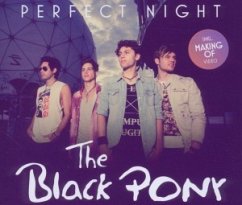 Cover Perfect Night (2 Track)