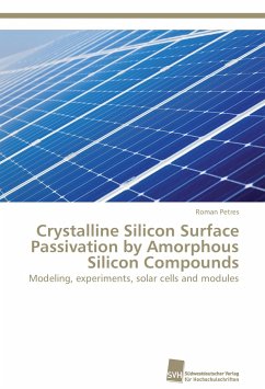 Crystalline Silicon Surface Passivation by Amorphous Silicon Compounds - Petres, Roman
