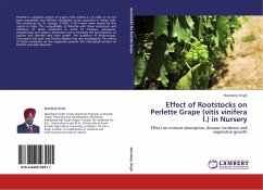 Effect of Rootstocks on Perlette Grape (vitis vinifera l.) in Nursery